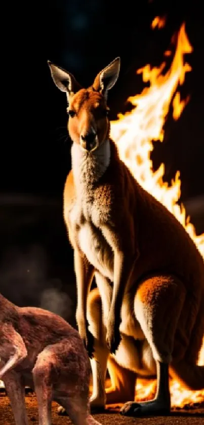 A kangaroo in front of dramatic orange flames, creating a striking scene.