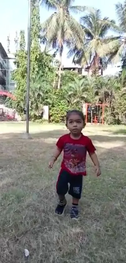 Child in red shirt playing in a sunlit park with palm trees.