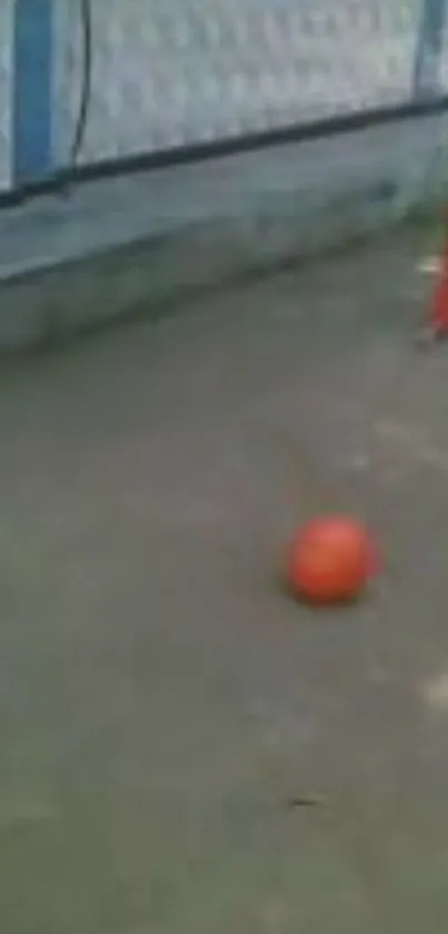 Child playing with orange ball outdoors.