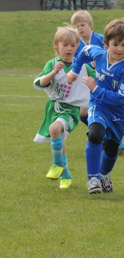 Children playing soccer on a green field.