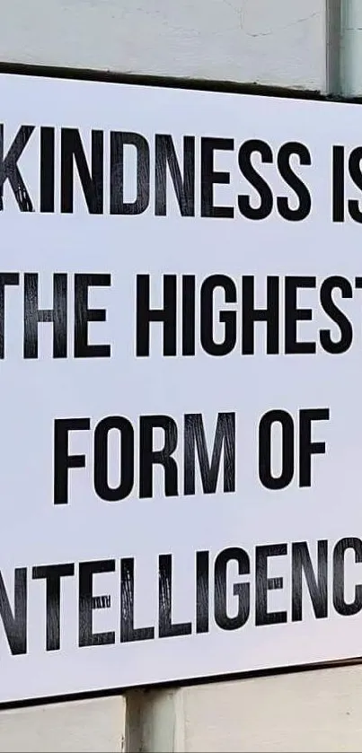 'A sign on a wall reads: Kindness is the highest form of intelligence.'