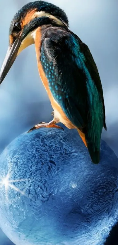 Kingfisher perched on a blue icy globe, with a serene blue background.