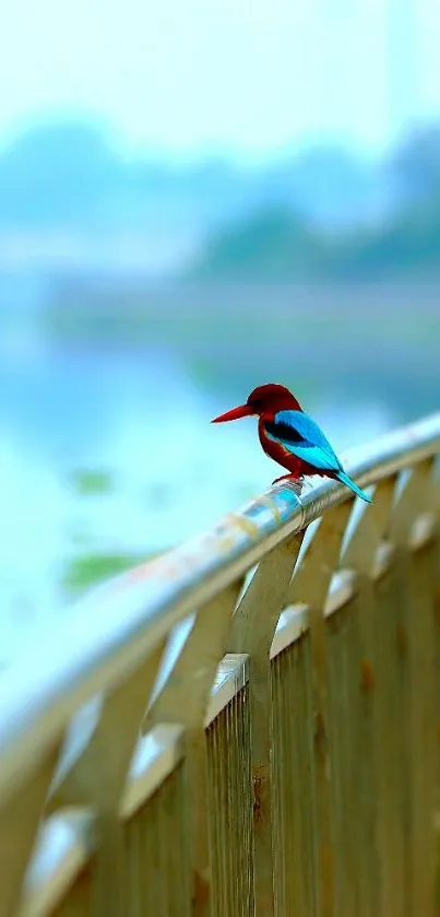 Kingfisher perched on railing with aqua background.