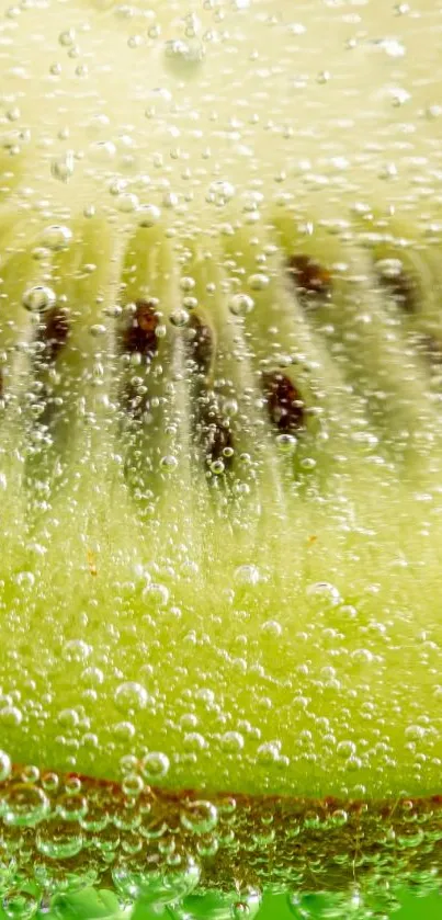 Close-up of a kiwi slice submerged in bubbles.