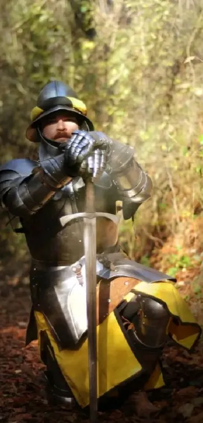 Kneeling knight in armor on forest path, sunbeams highlighting his form.