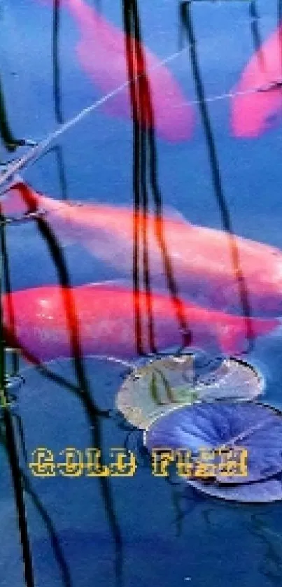 Koi fish swimming in a serene pond with water reflections, ideal wallpaper.