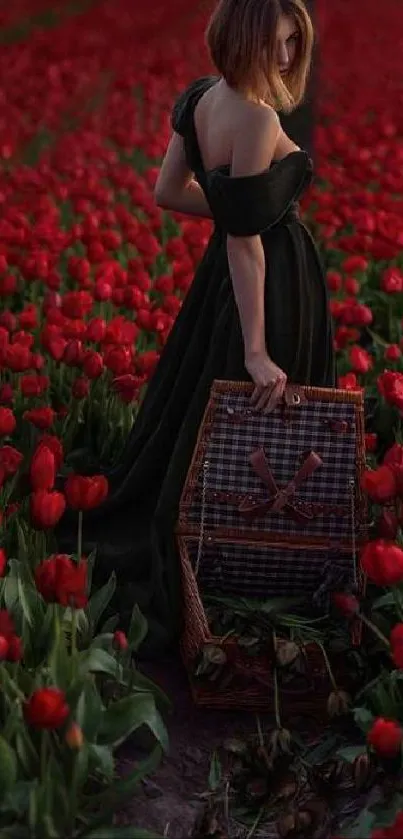 Woman in black dress in a field of vibrant red tulips.