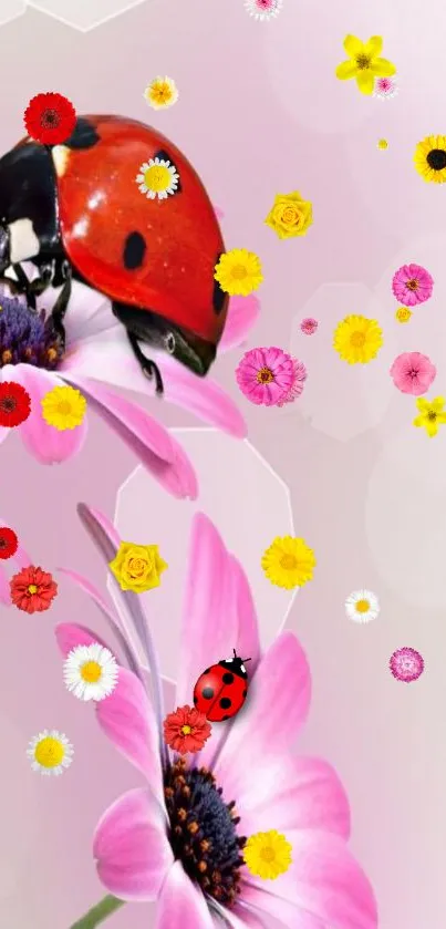 Ladybug resting on bright pink flower with colorful floral accents.