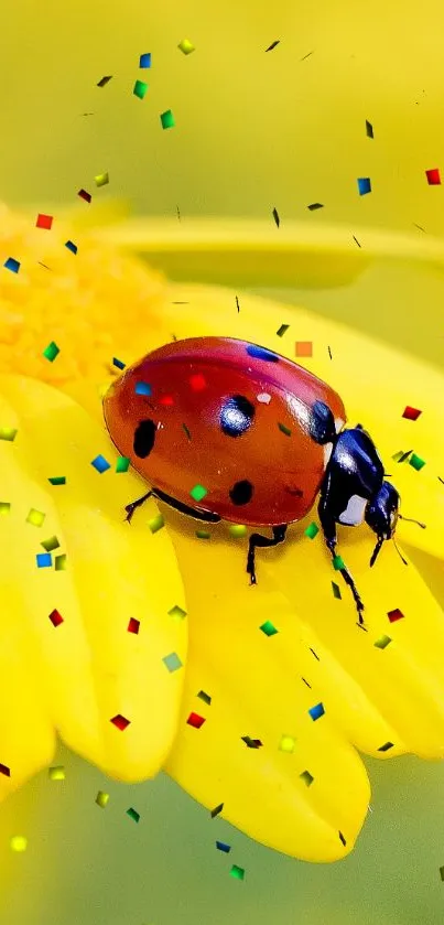 Ladybug perched on a yellow daisy blossom, capturing nature's vivid beauty.