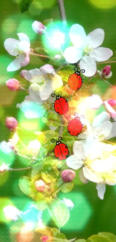 Ladybugs resting on cherry blossom branch with green background.