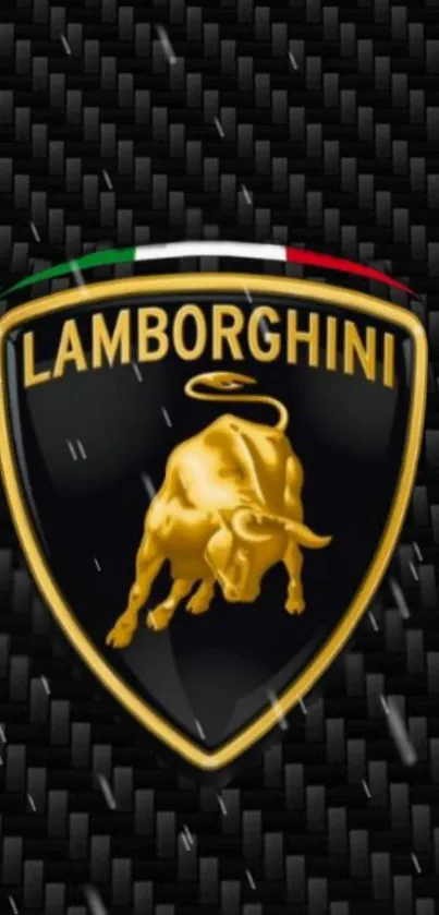 Lamborghini emblem with gold and black design on a carbon fiber background.