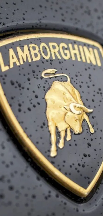 Lamborghini gold logo with rain droplets on a black background.