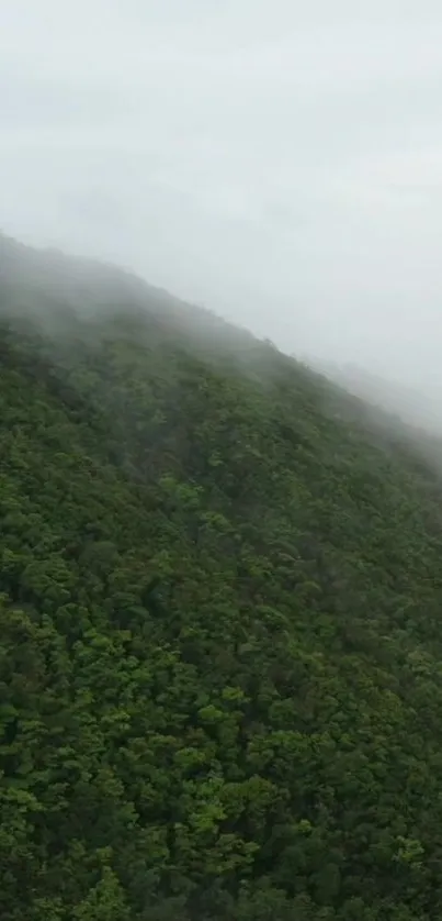 Landscape Mountain Cloud Live Wallpaper