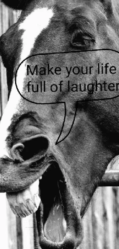 Black and white horse laughing with text bubble.