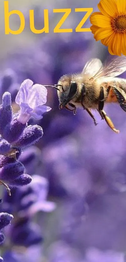 Bee hovering over lavender flowers with 'buzz' text.