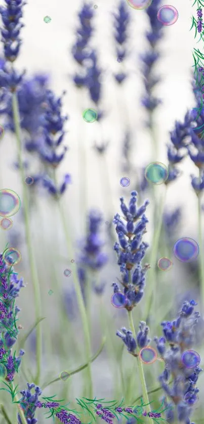 Lavender flowers with bubbles on a calming mobile wallpaper scene.