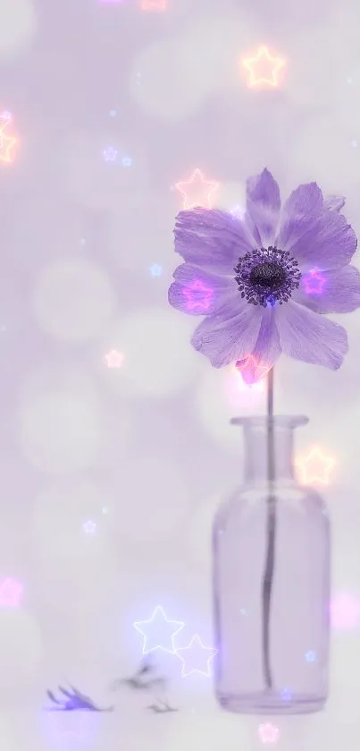 Lavender flower in clear glass vase against bokeh background.