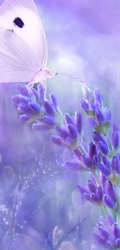 Lavender butterfly on flower wallpaper, serene mobile background.