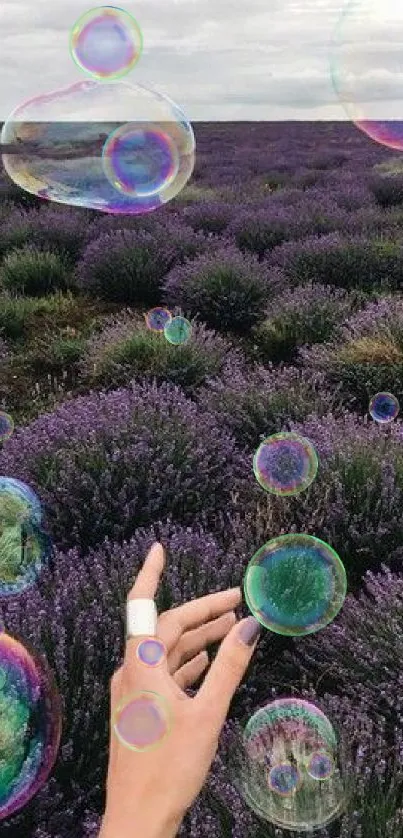 Hand reaching for bubbles over a lavender field.