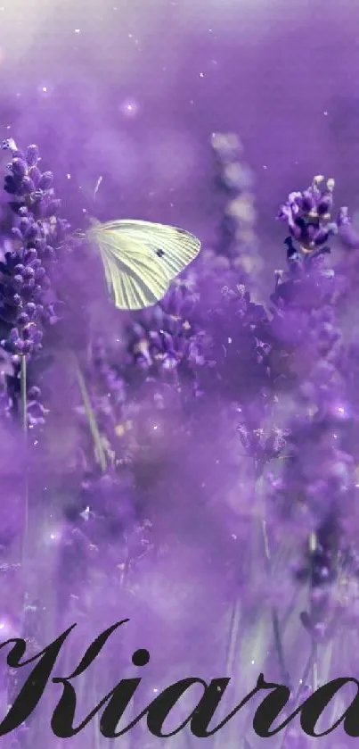 Lavender field with butterfly mobile wallpaper.