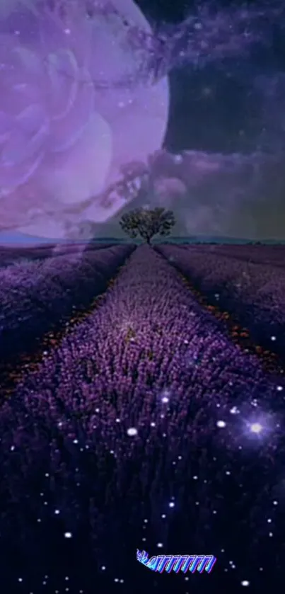 Lavender field with a glowing moon under a starry night sky.