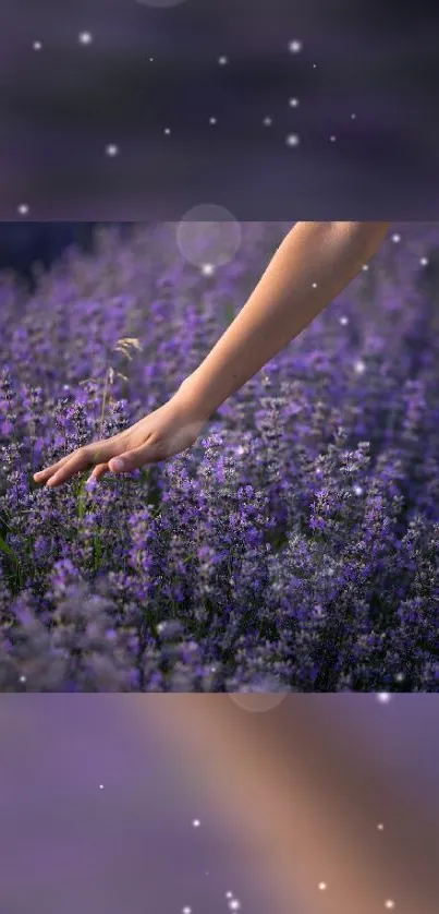 Hand touching lavender flowers with bokeh lights in a purple-toned wallpaper.