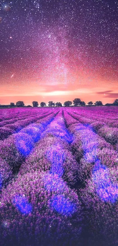 Lavender field under starry sky with vibrant purple hues for calming wallpaper.