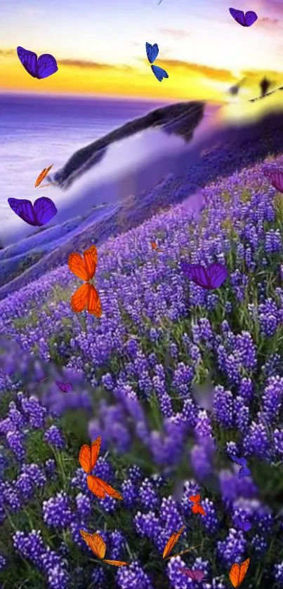 Lavender field with butterflies at sunset.