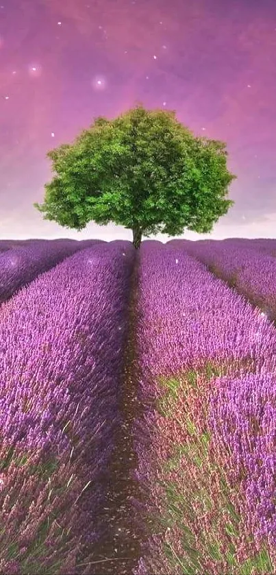 A lone tree in a vibrant purple lavender field under a striking purple sky.