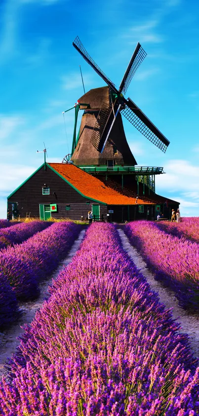 Lavender fields with an iconic windmill under a vibrant sky.