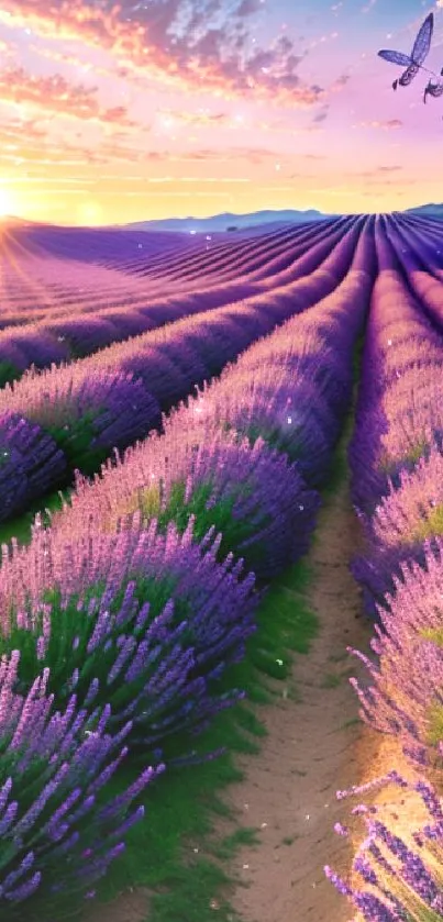 Sunset over a lavender field with purple hues.