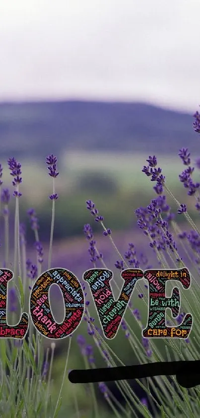 Lavender fields with artistic LOVE text overlay.