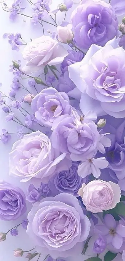 Lavender floral wallpaper with roses and blossoms, perfect for serene decor.