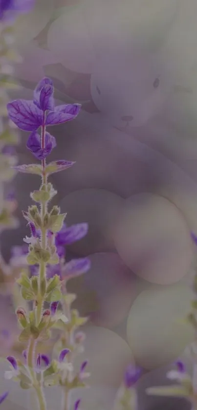 Lavender flowers with blurred backdrop in calming purple tones.