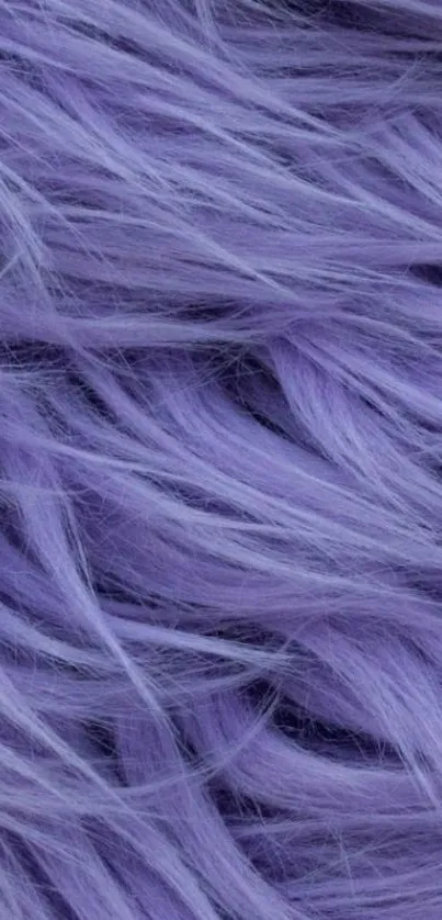 Lavender furry texture mobile wallpaper.