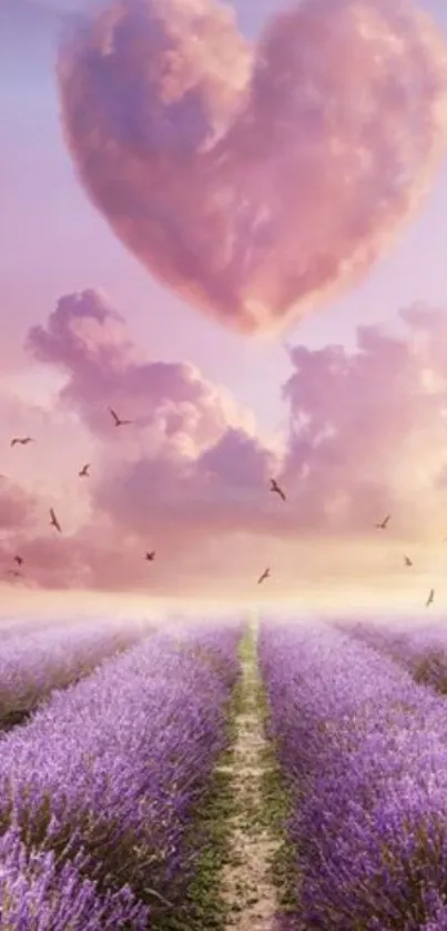 Lavender field with heart-shaped cloud in pink sky.