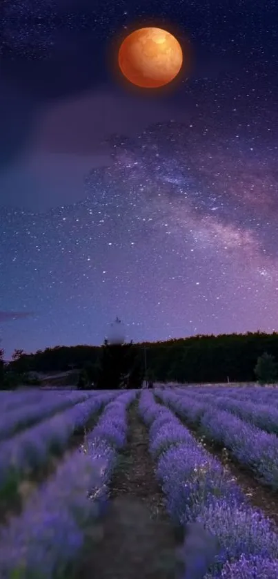 Lavender fields under a starry night sky with a glowing moon.