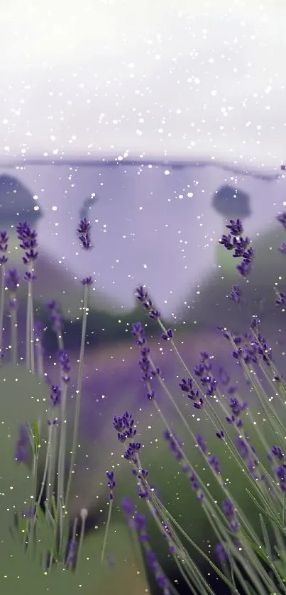 Lavender field with snow falling on a serene landscape.