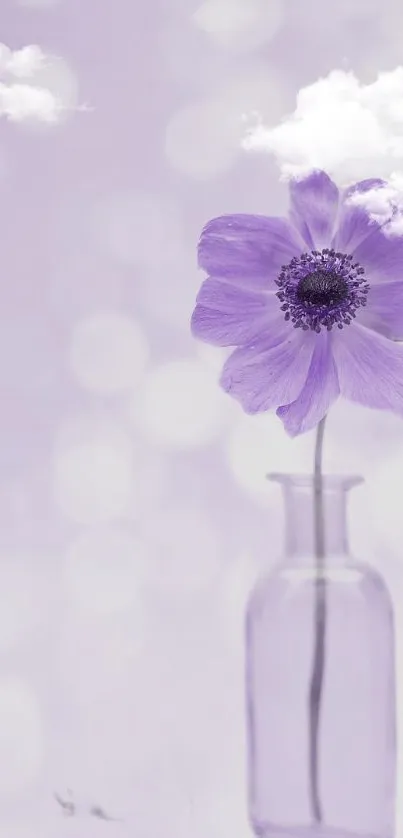 Lavender flower in vase with cloudy background.