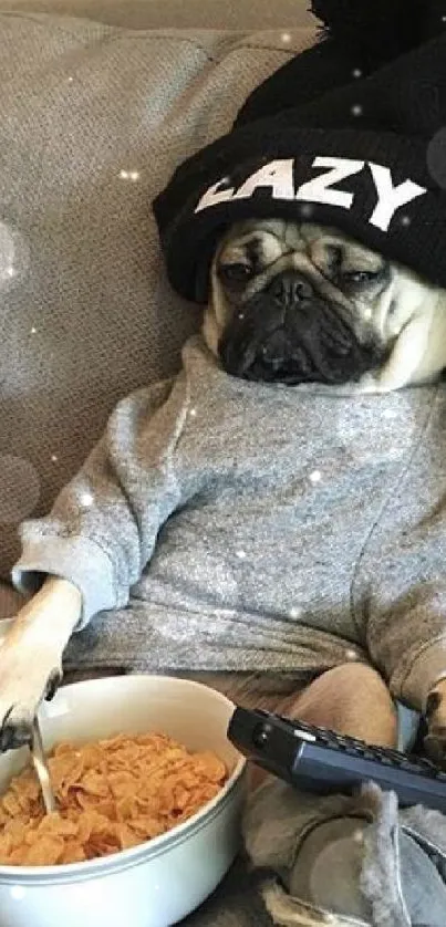 Cozy pug in sweater and hat with bowl of cereal on couch.