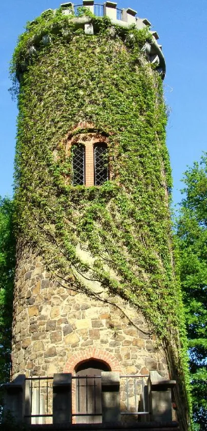 Stone tower covered with lush green vines under a blue sky.