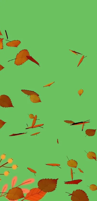 Leaf Orange Organism Live Wallpaper