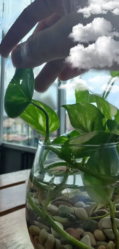 Green leaves in vase with clouds overlay.