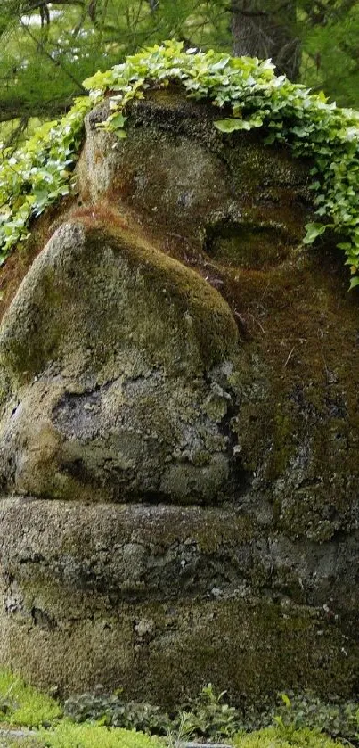 Green leafy stone face in a natural setting.