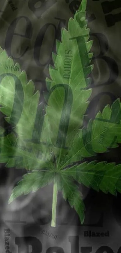 Dark wallpaper with green leaf and text design.