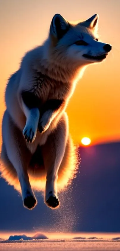 Arctic fox gracefully leaps in sunset glow, vibrant and dynamic against colorful sky.