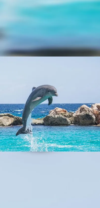 Dolphin leaping from turquoise ocean with coastal background.