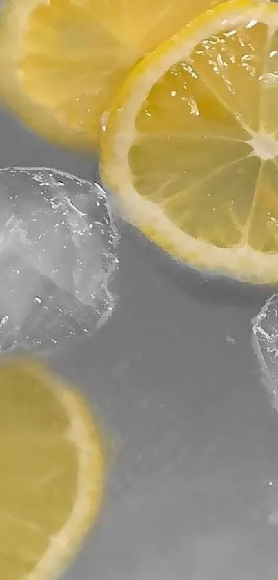 Refreshing mobile wallpaper with lemon slices and ice cubes.