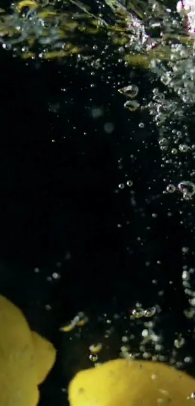 Lemon slices splashing in water with bubbles on a dark background.