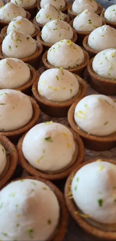 Rows of delectable lemon tarts with creamy toppings and lime zest garnish.